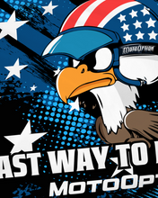 Load image into Gallery viewer, FREEDOM EAGLE WALL FLAG
